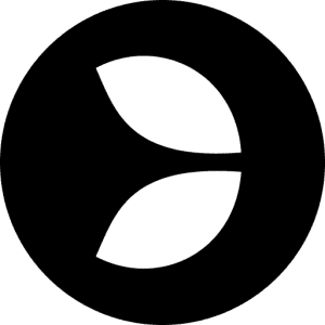 Evolution Gaming logo small