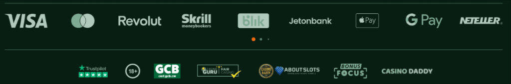 Metody płatności RioPlay